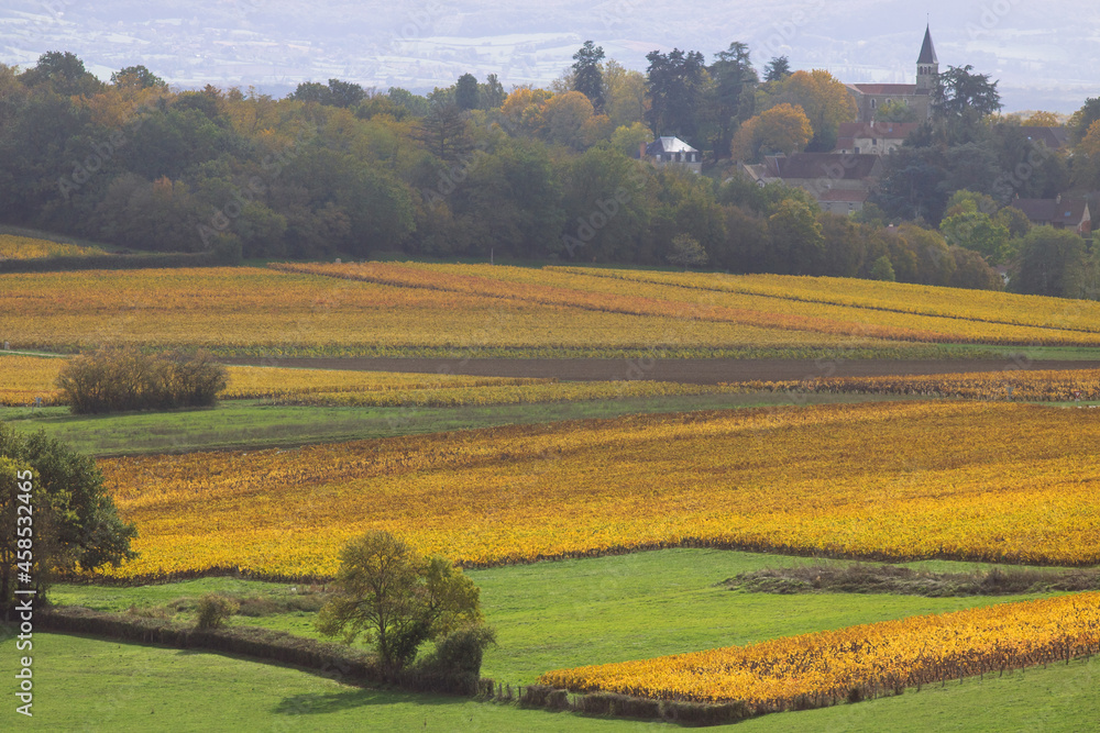 paysage de vignoble près de buxy en bourgogne en automne