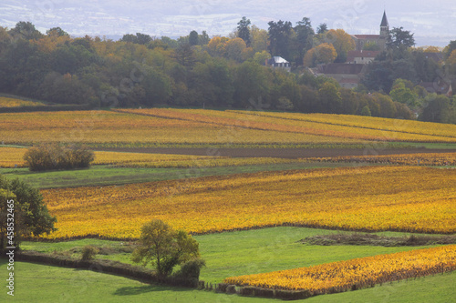 paysage de vignoble pr  s de buxy en bourgogne en automne