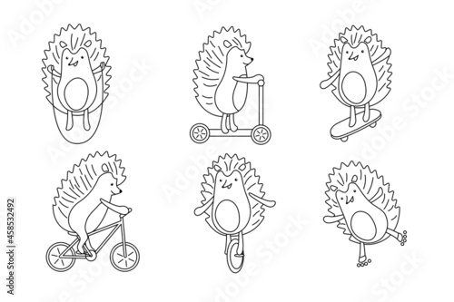 Set of hedgehogs on rollers, skateboard, bicycle, scooter, mono wheel and with skipping rope. Vector illustration in line art style.