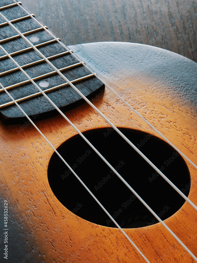 Obraz premium Ukulele strings and soundboard close up