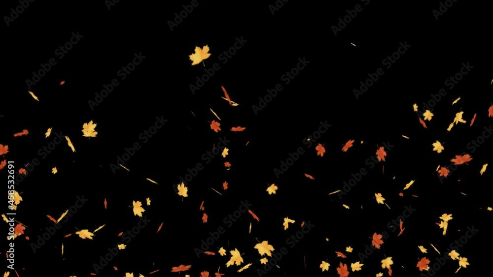 Autumn Leaves Falling. Alpha Channel. Prores 4444. Autumn Leaves Falling. Alpha Channel. Prores 4444.