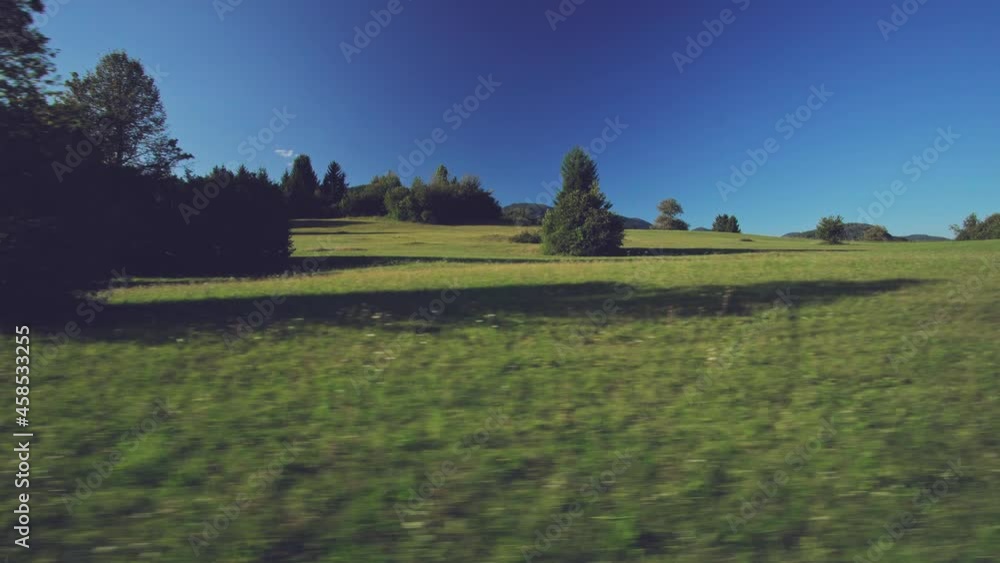 field field