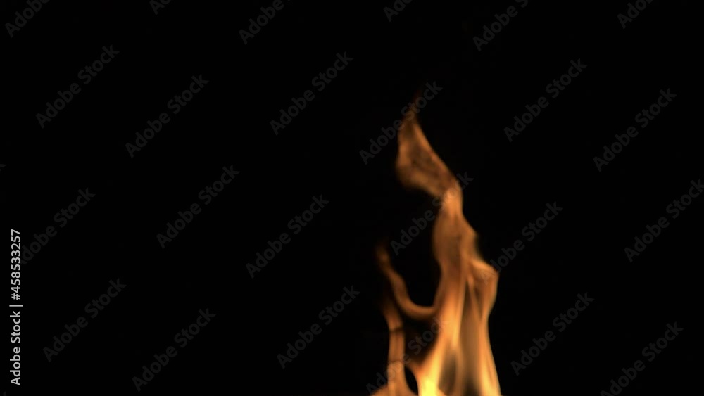 The flames are red-orange on a black background. Isolated. The flames are red-orange on a black background. Isolated.