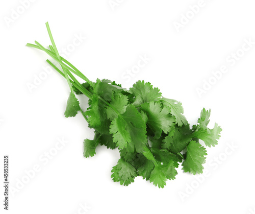 Fresh green coriander leaves on white background, top view