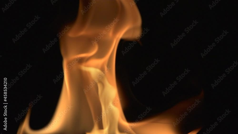 The flames are red-orange on a black background. Isolated. The flames are red-orange on a black background. Isolated.