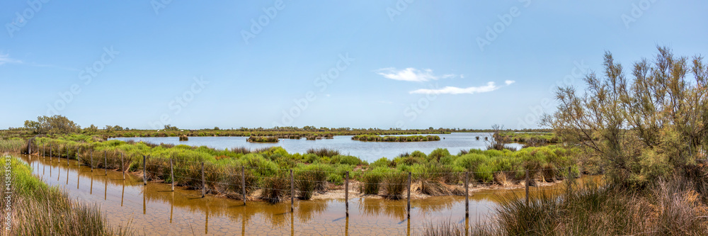 Ταπετσαρία Landscape of Camargue wetland, unique biotope with dry cracked ground under wate