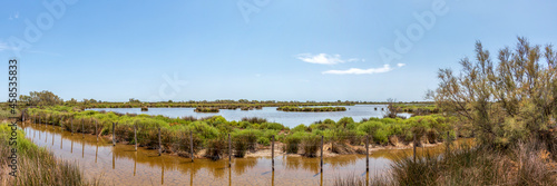 Landscape of Camargue wetland, unique biotope with dry cracked ground under water on the foreground, France, Europe