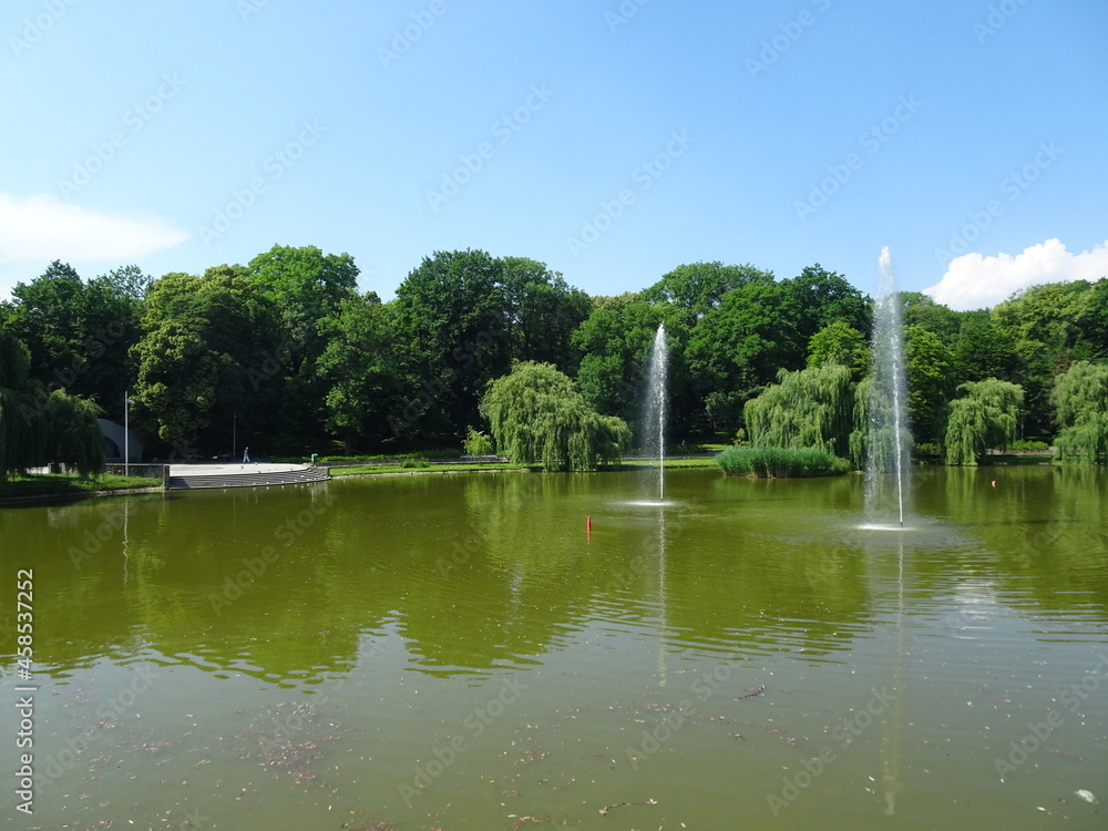 Park landscape with the small  lake