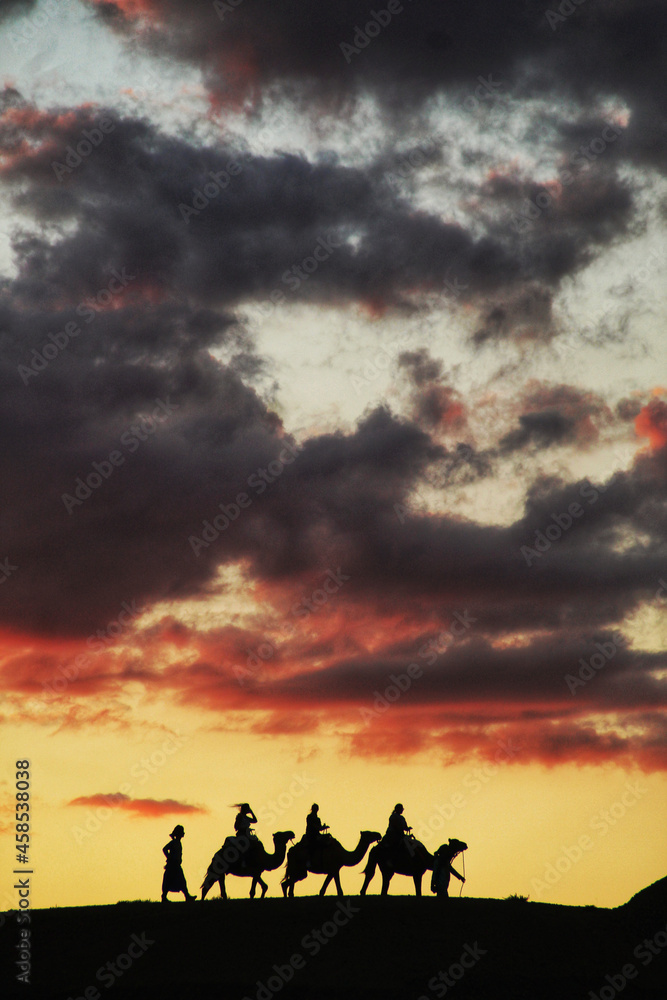 Camel Sunset in the Agafay Desert Camel Sunset in the Agafay Desert