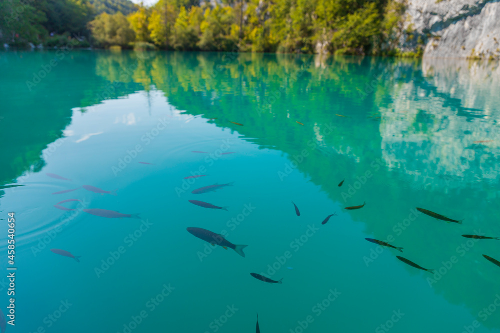 plitvička jezera - plitvice lakes national park - hd wallpaper - Croatia