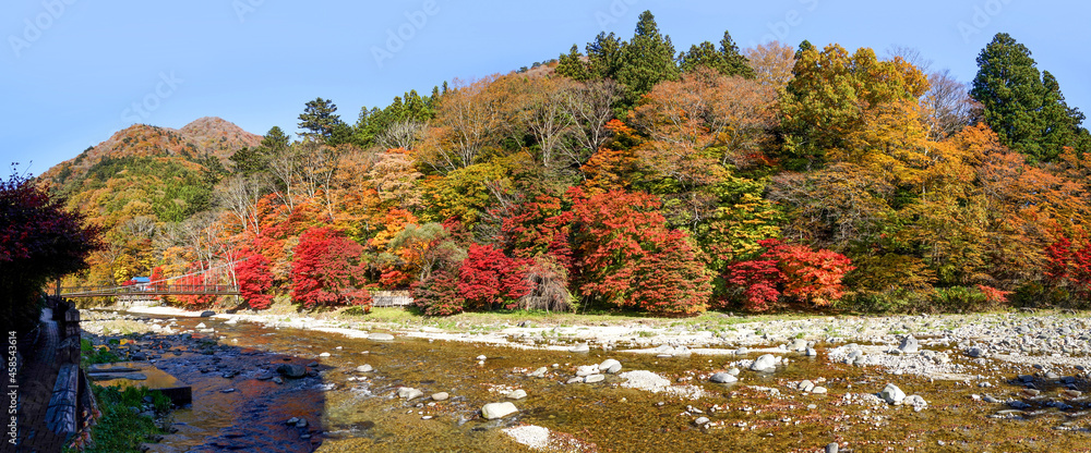 Obraz premium 紅の吊橋の紅葉