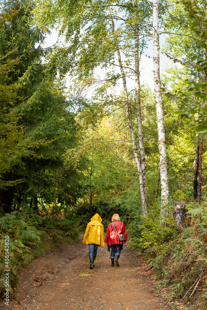 Middle age couple in raincoats walking through forest