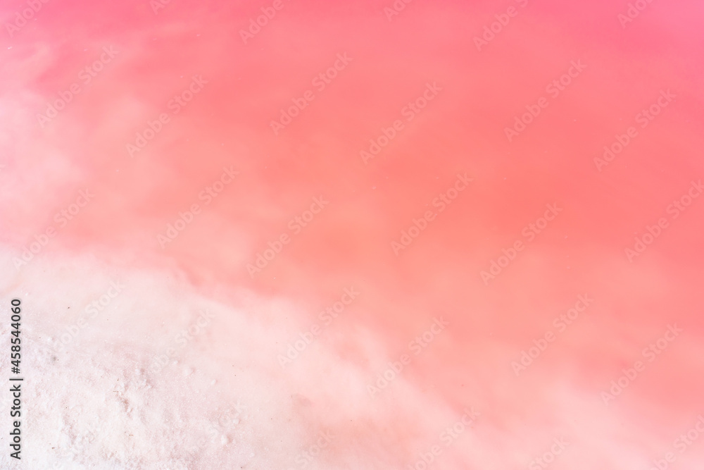 Natural background with pink salt lake. Close-up of pink water