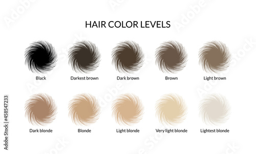 Hair color levels