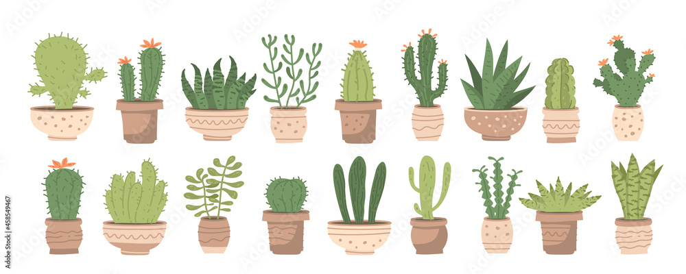Big set with different cute cacti and succulents in pots on white background. Vector illustration set with different houseplants in ceramic pots
