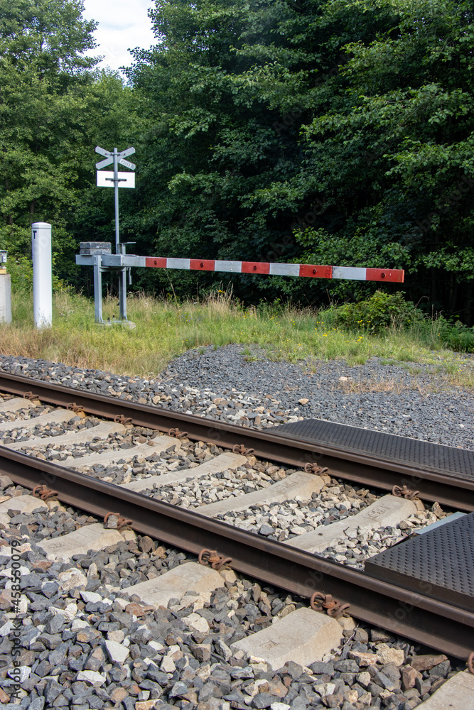 Fototapeta premium Forest footpath closed by a barrier before entering the tracks.