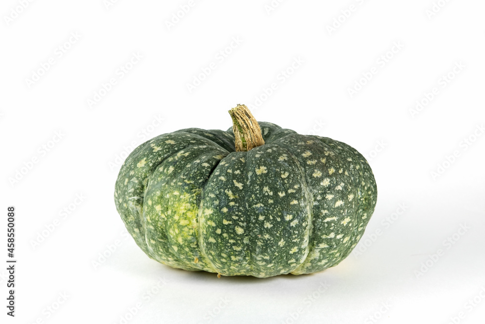 Ugly ripe green pumpkin on a white background. Organic waste of overripe fruits. Ugly food, fruits. Copy space Ugly ripe green pumpkin on a white background. Organic waste of overripe fruits. Ugly food, fruits. Copy space