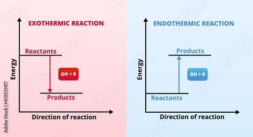 Vector graphs or charts of endothermic and exothermic reactions – physics, chemistry. Exo and endo chemical reactions. Activation energy. Reactants, products, increase and decrease in the enthalpy H. photo
