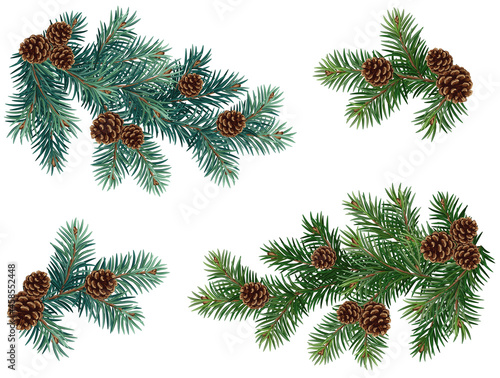 Realistic vector Christmas isolated tree branches with pine cones.  Blue and green fir. 
