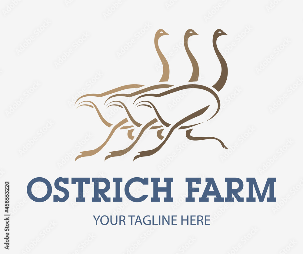Ostrich farming creative logo. Three running ostriches sign. Camel-birds icon. Ostrich farming creative logo. Three running ostriches sign. Camel-birds icon.