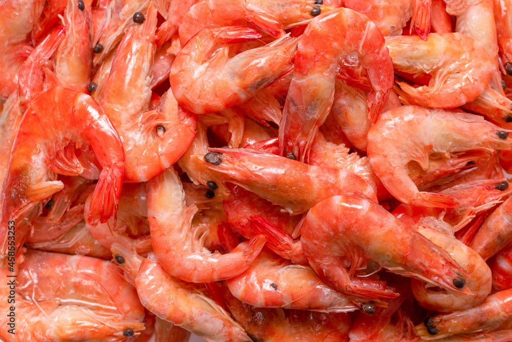 Shrimps background texture. A lot of shrimps. Cooked shrimps. Shrimps background texture. A lot of shrimps. Cooked shrimps.