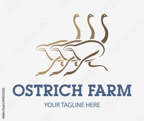 Ostrich farming creative logo. Three running ostriches sign. Camel-birds icon.