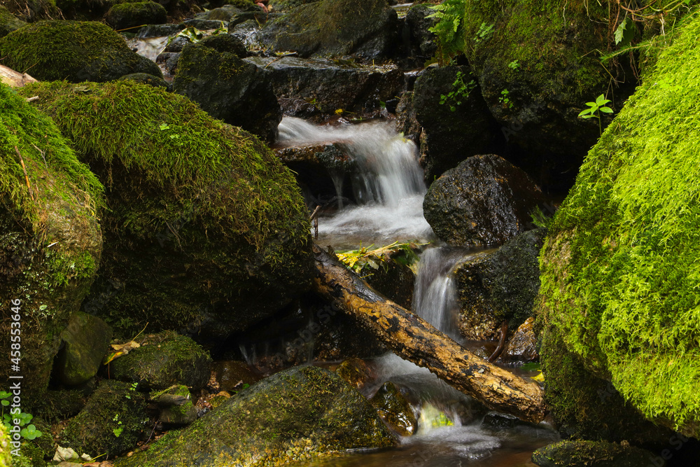 A small waterfall along the hiking trail A small waterfall along the hiking trail