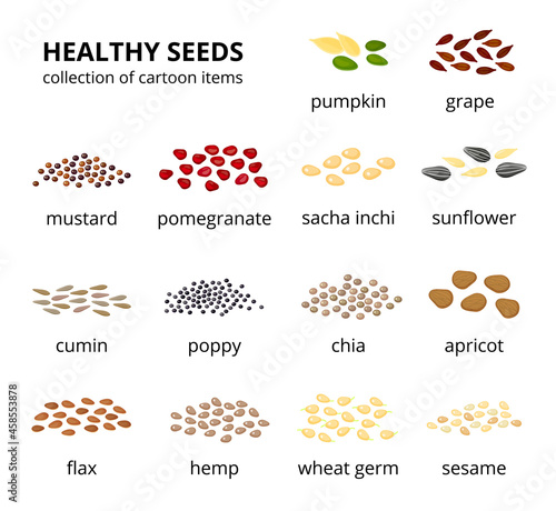 Set of healthy seeds.