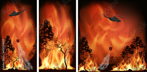 Vector forest fire, pine trees in fire flames. A helicopter extinguishes a forest fire. 