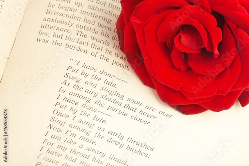 Fotografie Red rose on a poem