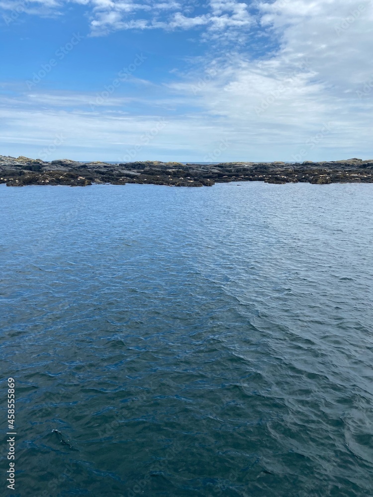 Seal resting grounds 