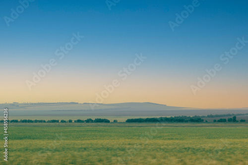 Green field with forest line blur in motion  against the background of sunset