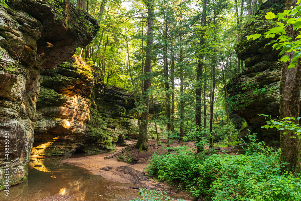 Lush Forest at Hocking Hills State Park in Ohio Lush Forest at Hocking Hills State Park in Ohio