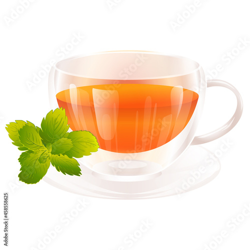 Natural drink with green herb peppermint leaf isolated on white background. Glass glossy double wall teacup vector illustration.