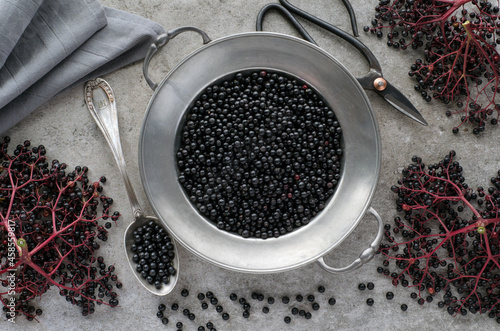 Slika na platnu Black elderberry berries in metal plate