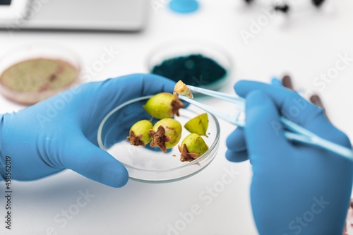 Scientists holds petri dish in laboratory. Psilocybin science and research. Person examining fungi. Vaccines for COVID-19