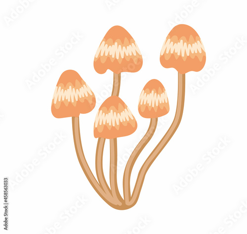 Toadstools poisonous mushrooms. Woodland and forest element. Hand-drawn cartoon vector isolated illustration.
