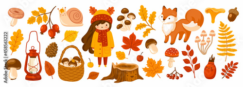 Set of fall forest elements: falling leaves, basket with mushrooms, cute fox, snail, acorn. Autumn season collection for greeting card, stickers, prints, wrapping paper. Vector cartoon illustration. photo