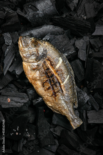 Grilled sea bream fish on coals
