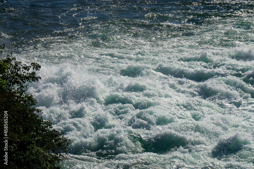 river in the forest