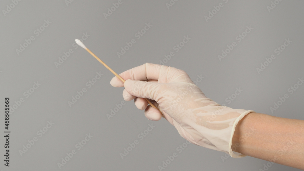 Cotton stick for swab test in hand with white medical gloves on grey background. Cotton stick for swab test in hand with white medical gloves on grey background.