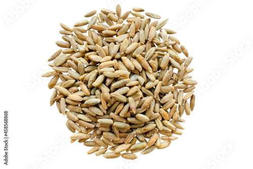 Rye seeds isolated on white, top view. Pile of rye seeds isolated on white background. Heap of grains of rye malt on a white, top view. Pile of rye grains isolated on white background, top view.