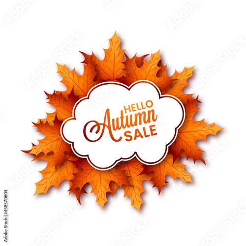 Hello autumn sale illustration of fall leaves of background texture