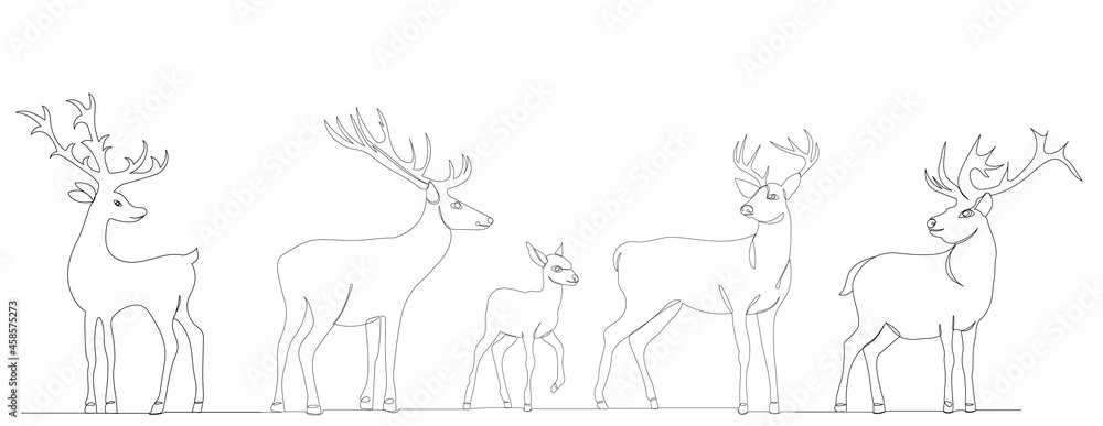 single continuous line drawing deer with fawn, sketch