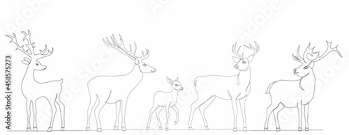 single continuous line drawing deer with fawn, sketch