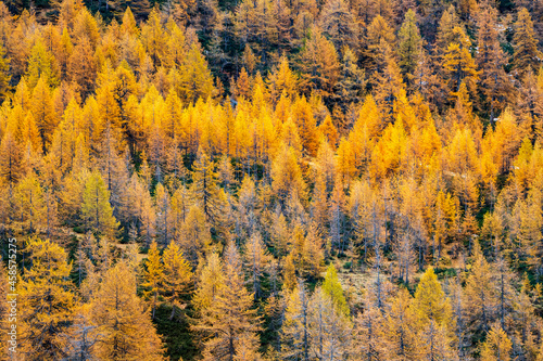 autunno all'alpe Devero, Piemonte