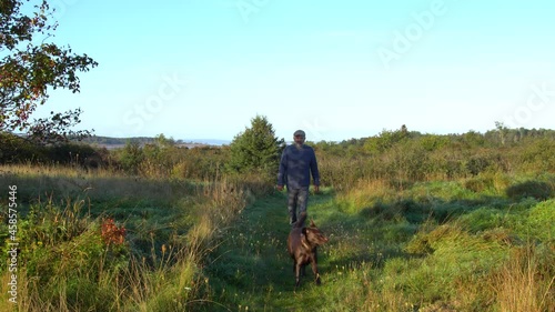 A happy, older man walking his young Labrador Retriever puppy on a beautiful early autumn day in the countryside.  Filmed in North America.