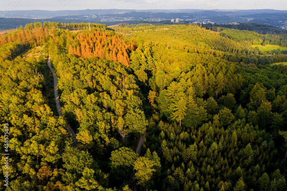 the landscape of the siegerland with the city siegen in the background the landscape of the siegerland with the city siegen in the background