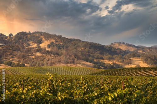 Evening view of a winery in Napa Valley, California 