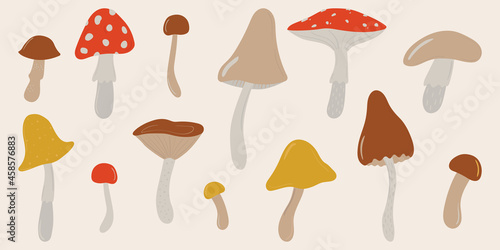 Hand drawn set of poisonous and edible mushrooms. Fly agaric, toadstood, boletus, milky cap. Doodle illustrations of wild forest elements in vintage colors. Vector clipart for design and print